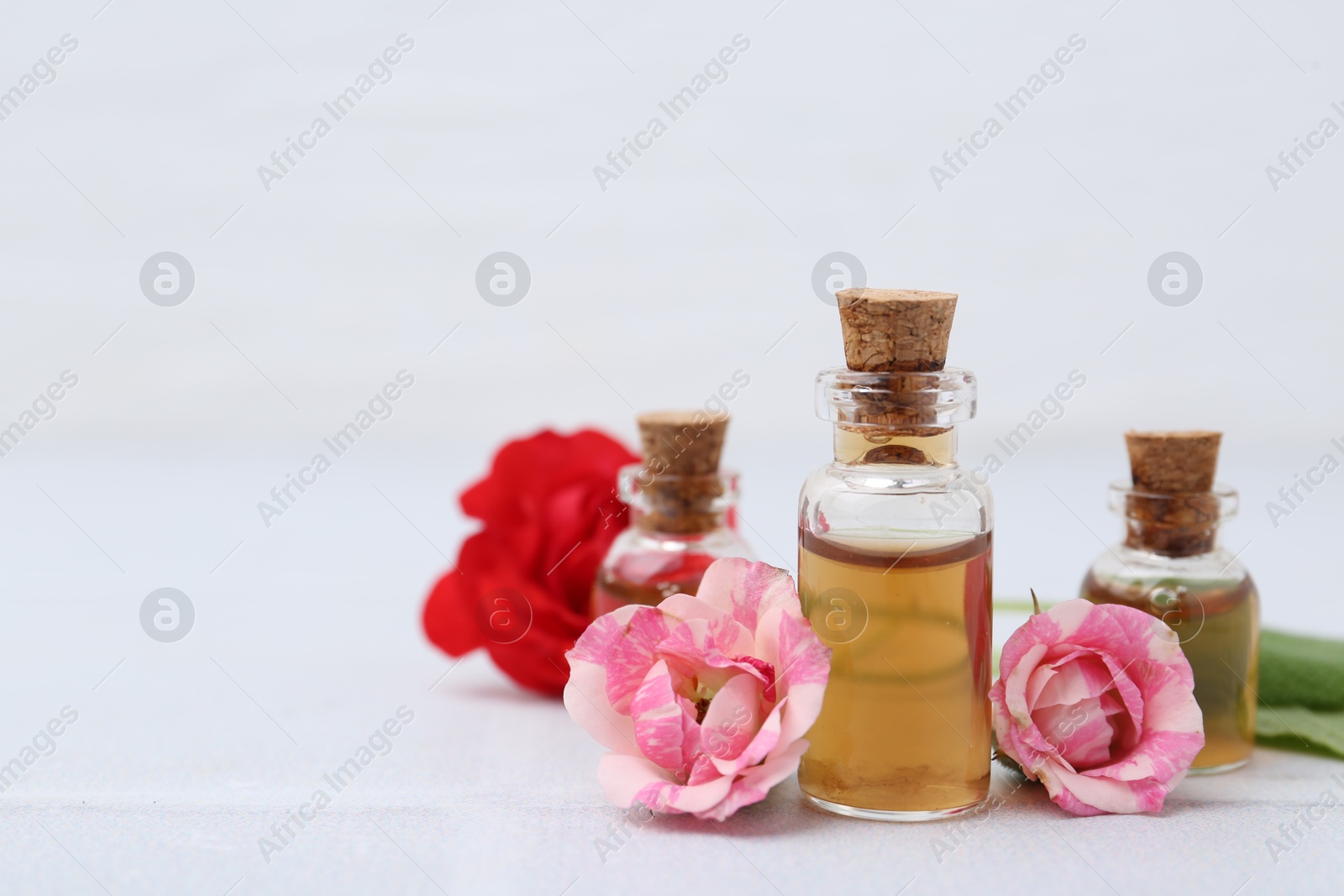 Photo of Bottles of cosmetic products and roses on white table, closeup. Space for text