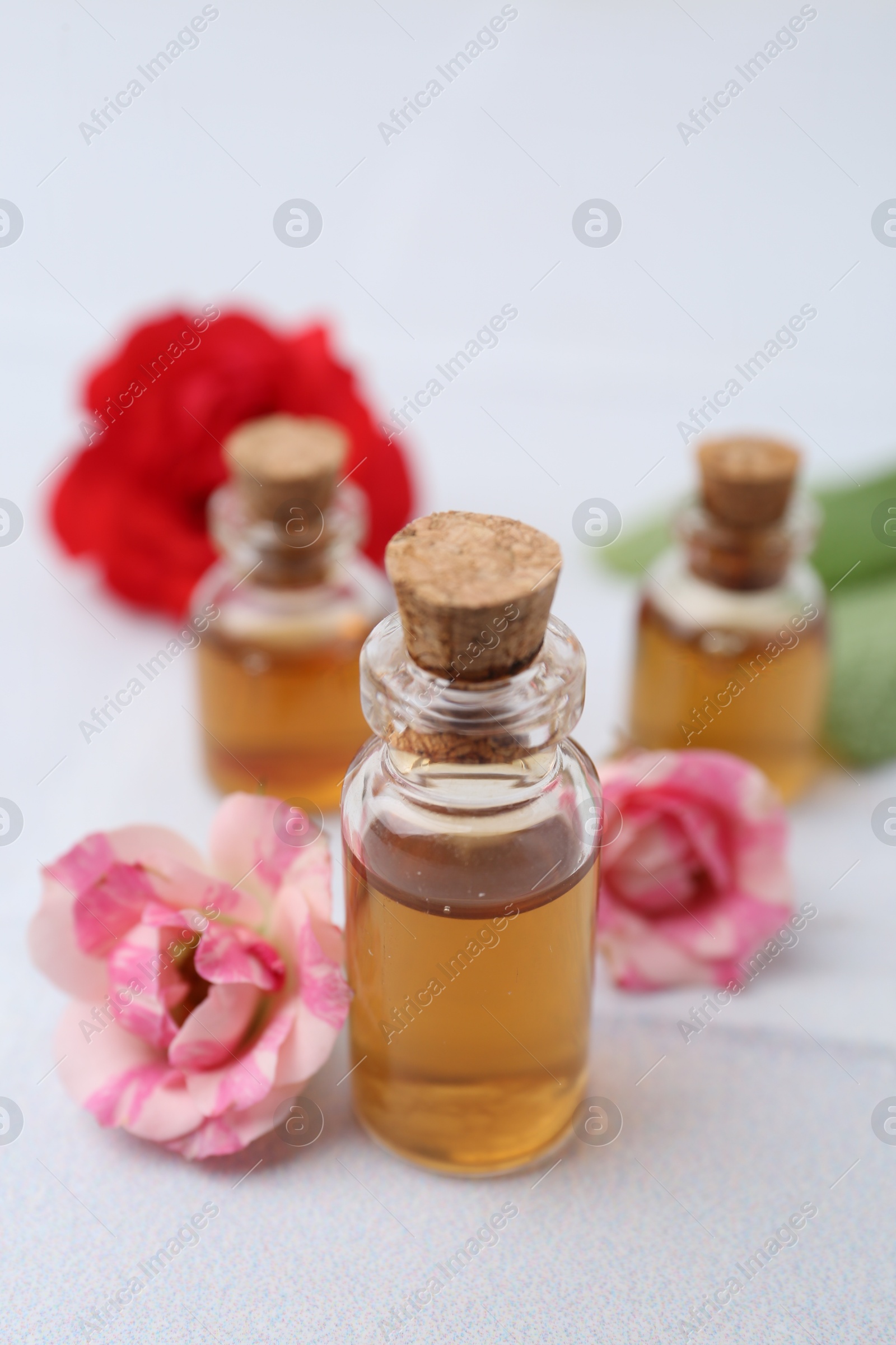 Photo of Bottles of cosmetic products and roses on white table, closeup