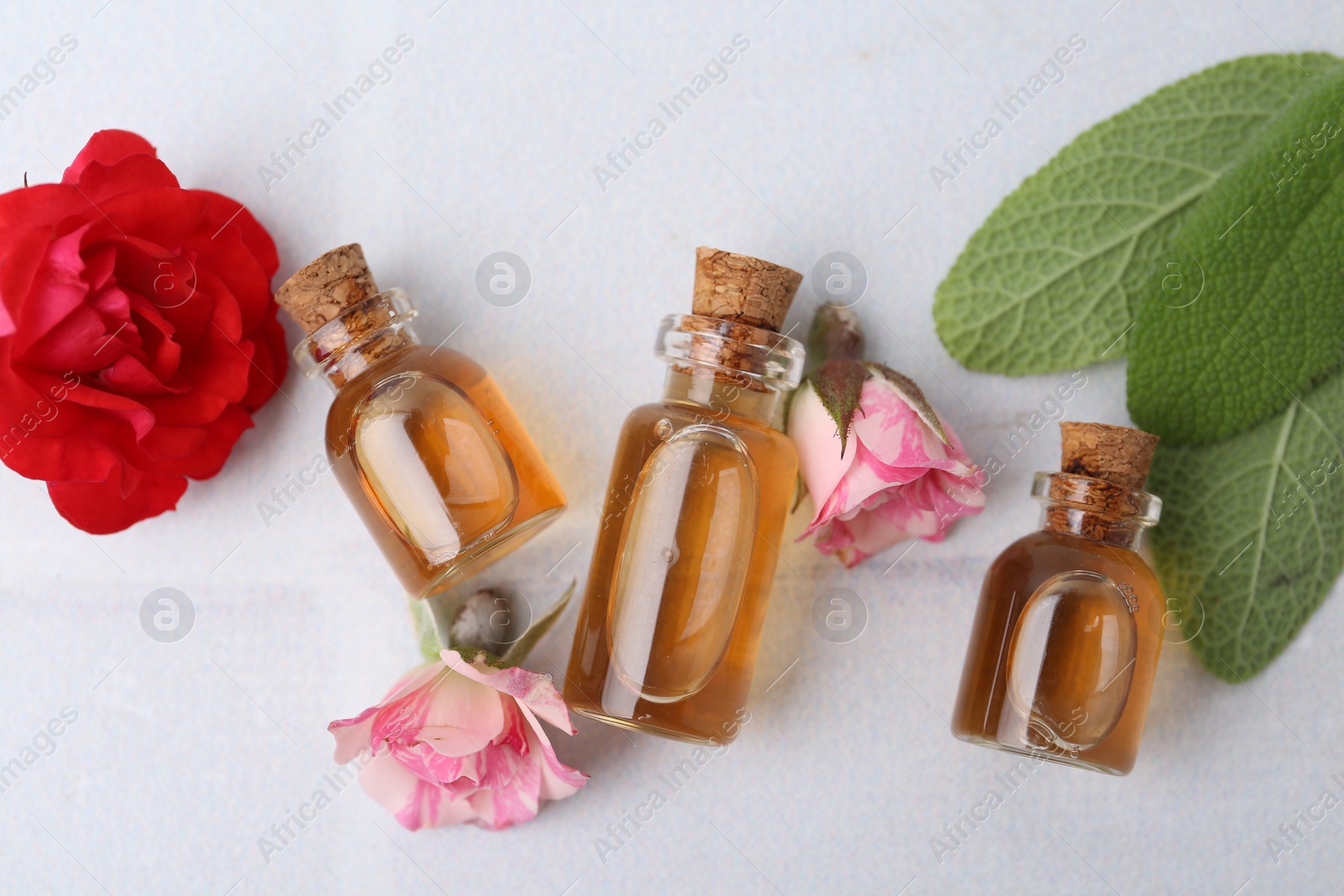 Photo of Bottles of cosmetic products, roses and sage on white table, flat lay