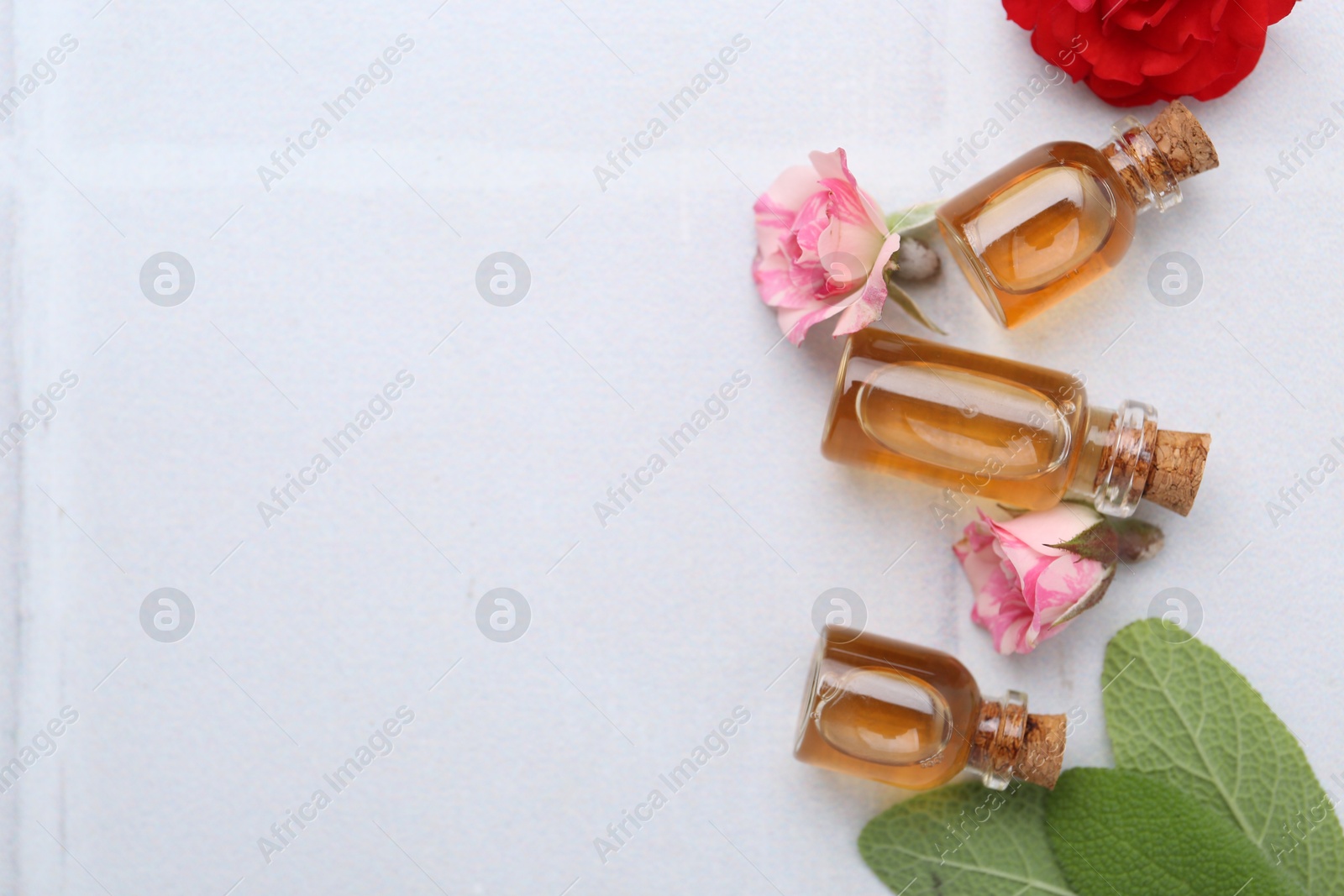 Photo of Bottles of cosmetic products, roses and sage on white table, flat lay. Space for text