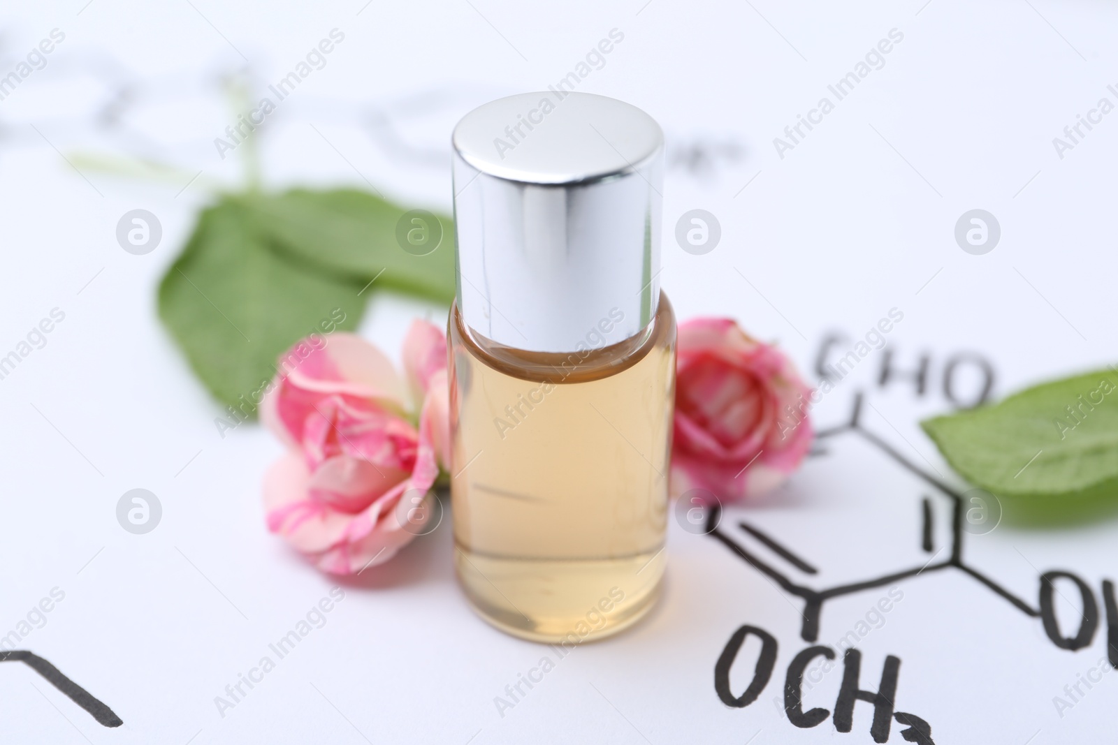 Photo of Bottle of cosmetic product, sage and roses on paper with chemical formulas, closeup