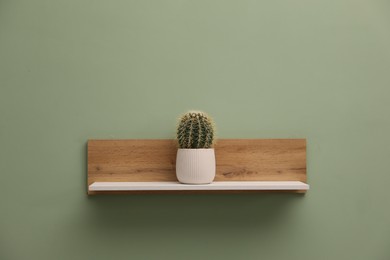 Photo of White wooden shelf with cactus on light green wall