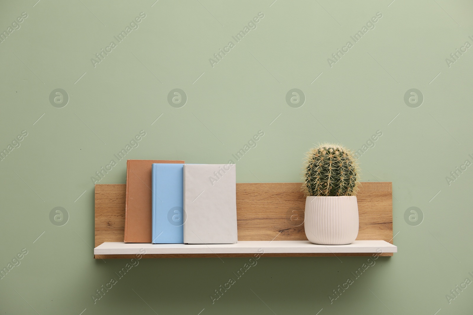 Photo of White wooden shelf with books and cactus on light green wall