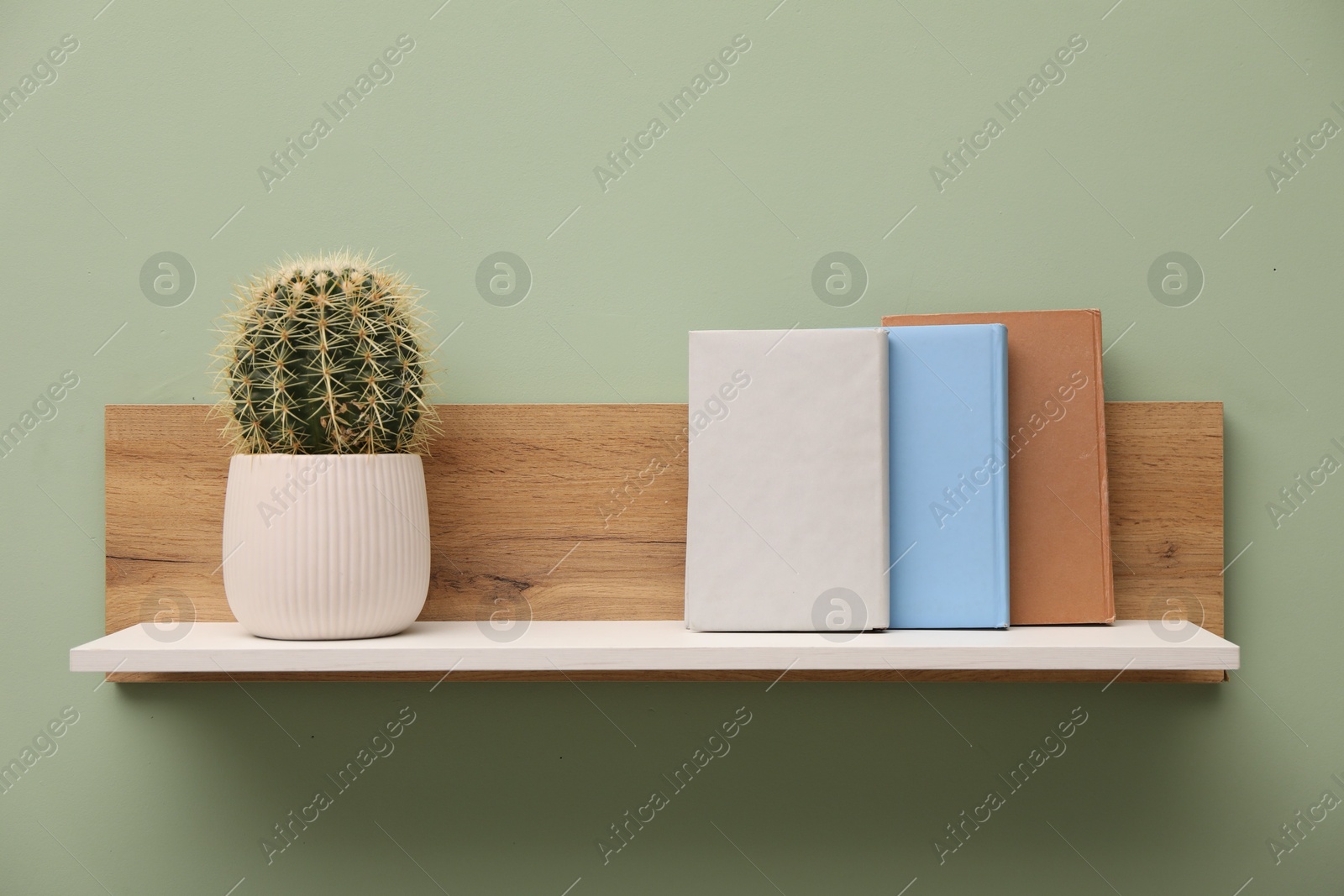 Photo of White wooden shelf with books and cactus on light green wall