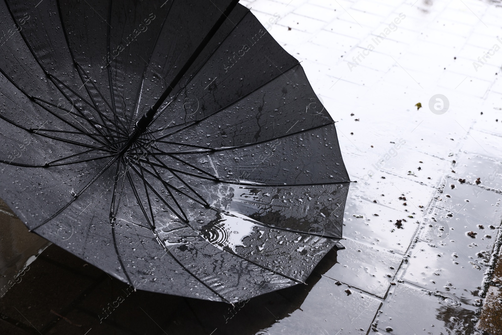 Photo of Black umbrella on wet asphalt under heavy rain, closeup. Space for text