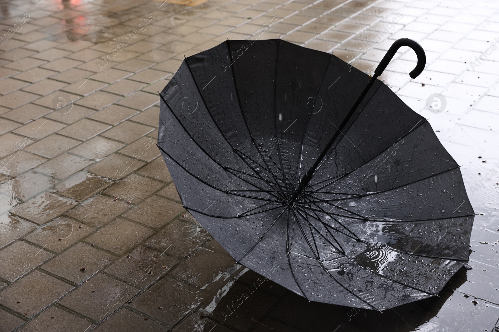 Photo of Black umbrella on wet asphalt under heavy rain, closeup. Space for text