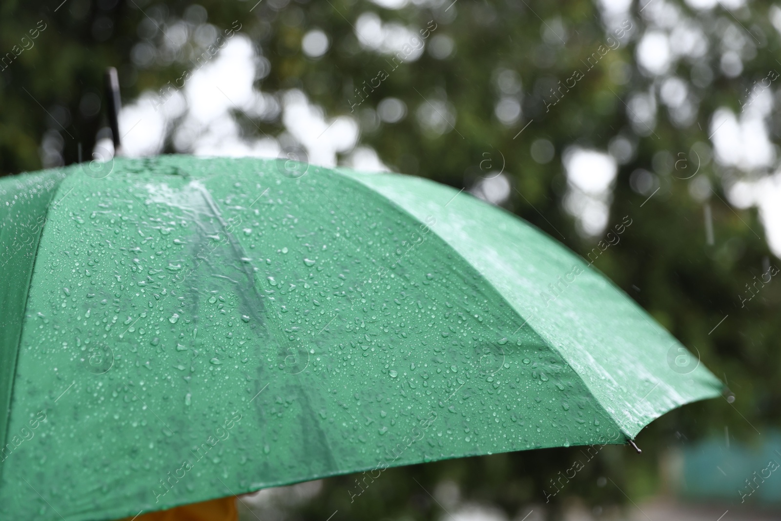 Photo of Green umbrella under heavy rain outdoors, closeup
