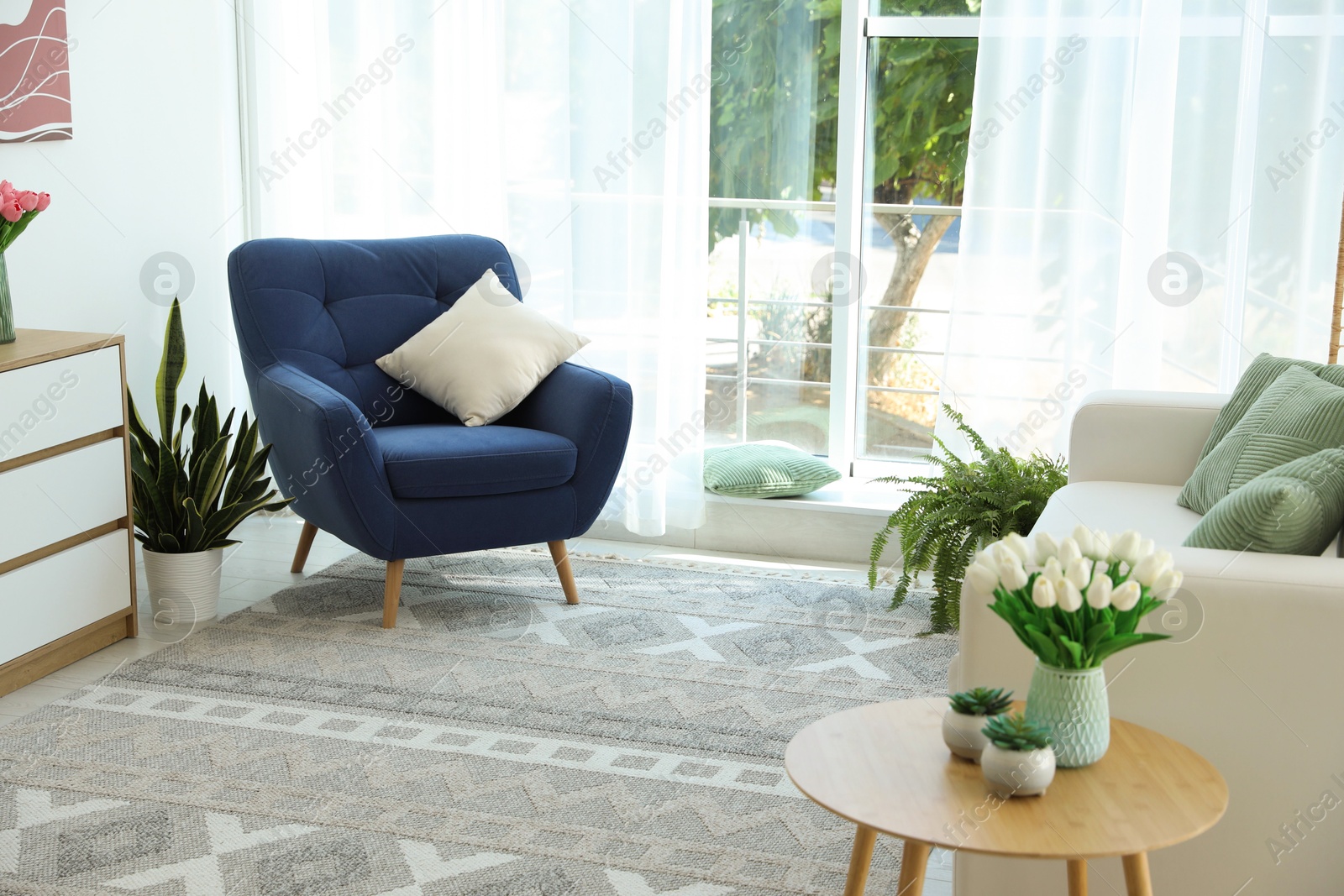 Photo of Stylish blue armchair and houseplants near window with curtains indoors. Interior design