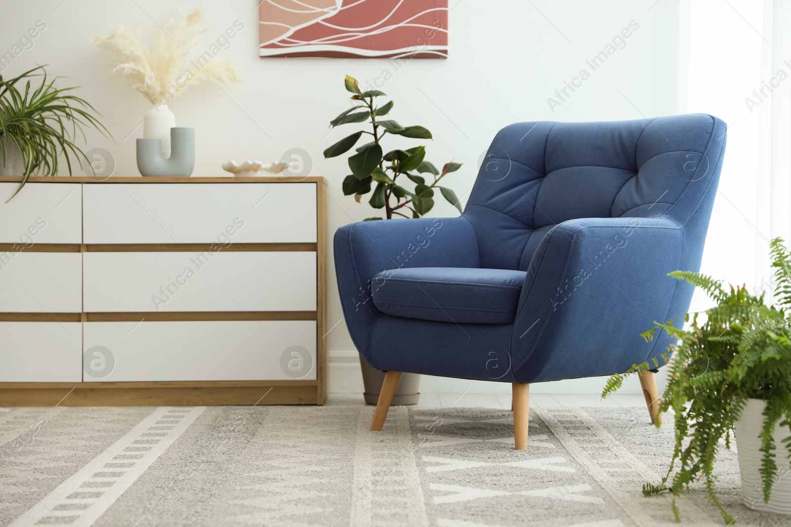Photo of Stylish blue armchair, chest of drawers and houseplants indoors. Interior design