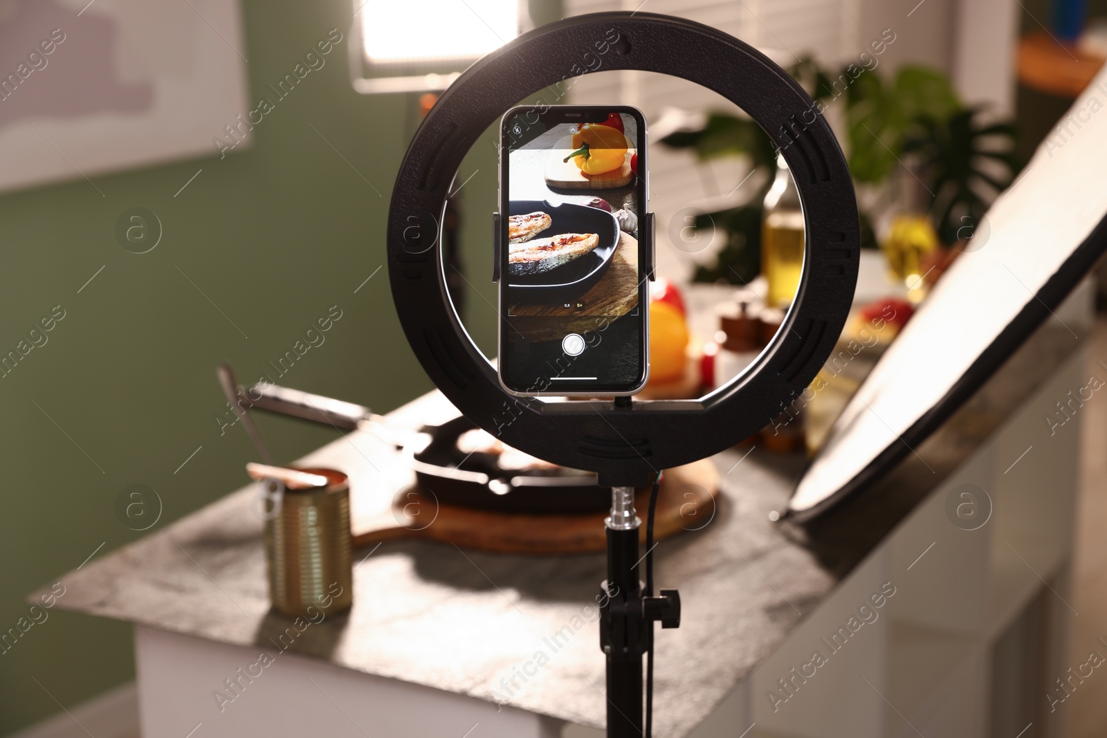 Photo of Shooting tasty roasted fish with smartphone in studio, selective focus. Professional food photography