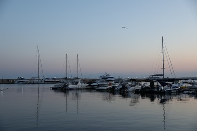 Photo of Sveti Vlas, Bulgaria - July 11, 2025: Moored ferries and boats in sea port at sunset