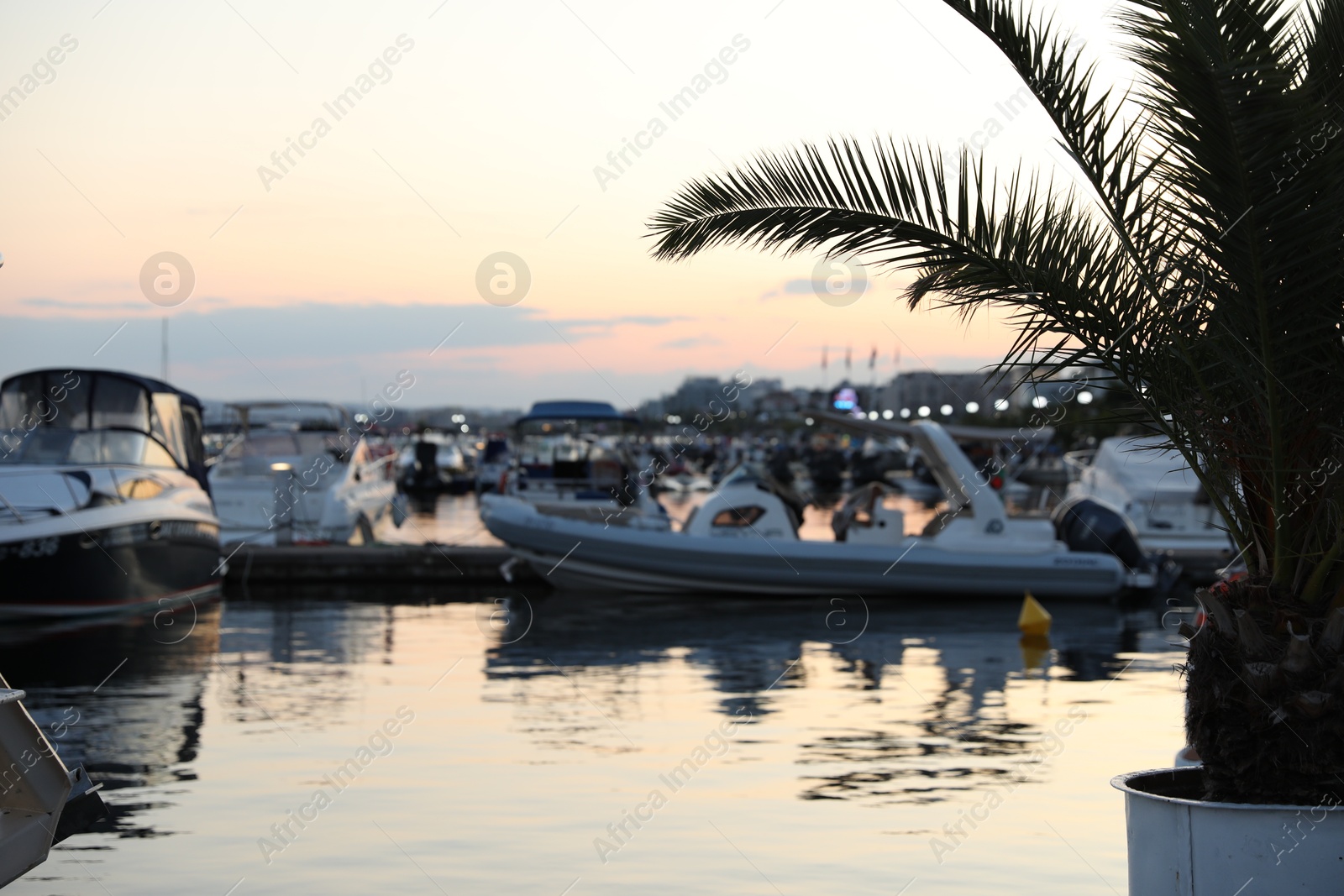 Photo of Sveti Vlas, Bulgaria - July 11, 2025: Moored boats near pier in sea at sunset