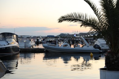Photo of Sveti Vlas, Bulgaria - July 11, 2025: Moored boats near pier in sea at sunset