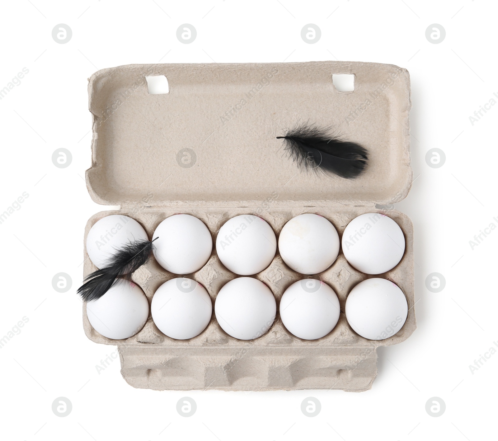 Photo of Raw chicken eggs and feathers in egg carton isolated on white, top view