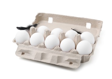 Photo of Raw chicken eggs and feathers in egg carton isolated on white