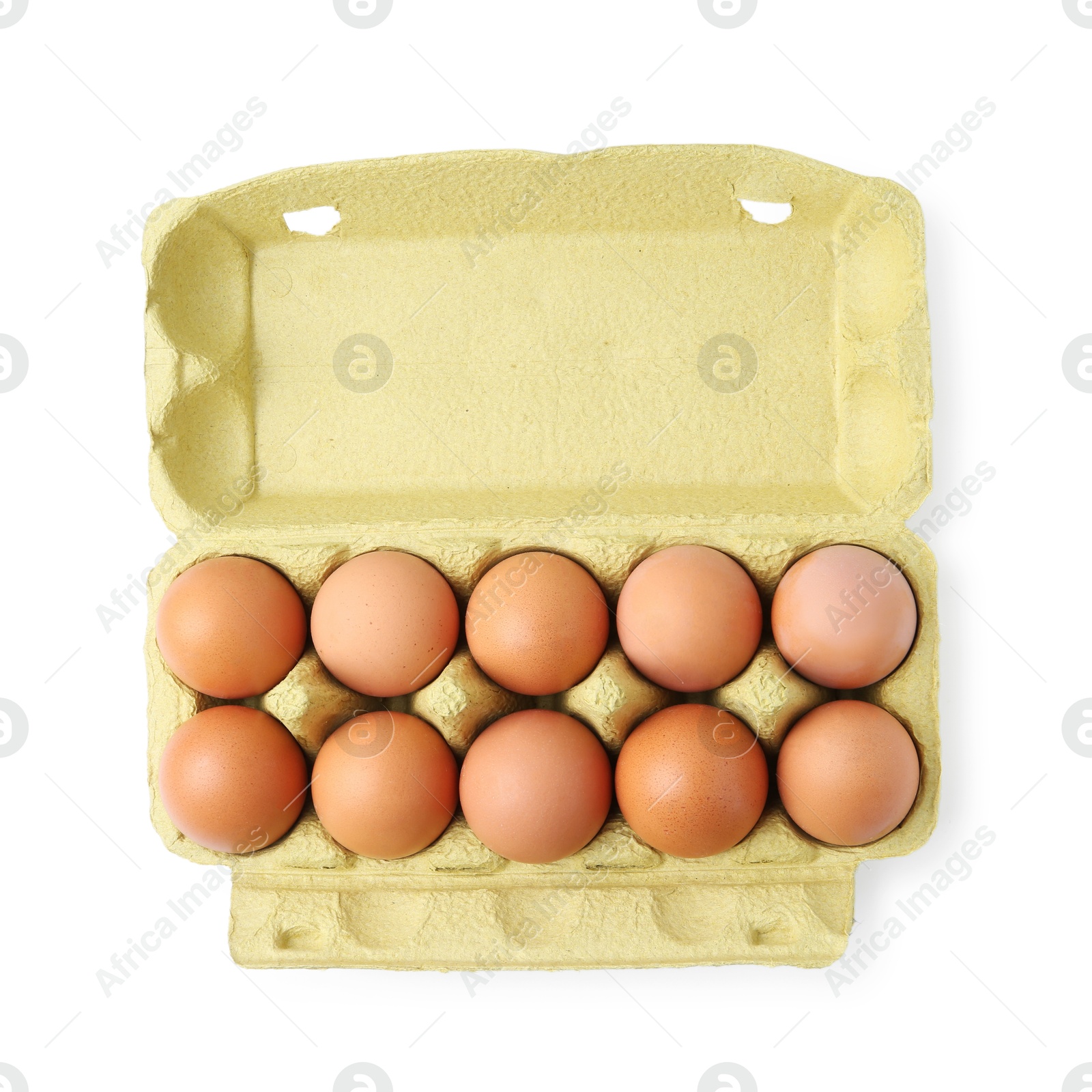 Photo of Raw chicken eggs in egg carton isolated on white, top view