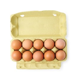 Photo of Raw chicken eggs in egg carton isolated on white, top view
