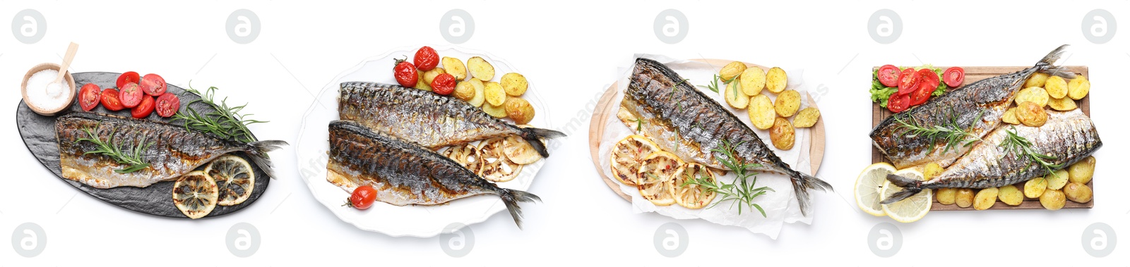 Fried fish. Dishes isolated on white, set. Top view Image of Fried fish. Dishes isolated on white, set. Top view