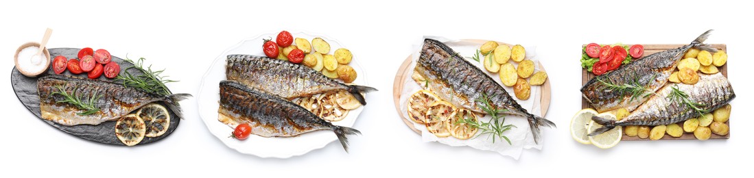 Image of Fried fish. Dishes isolated on white, set. Top view