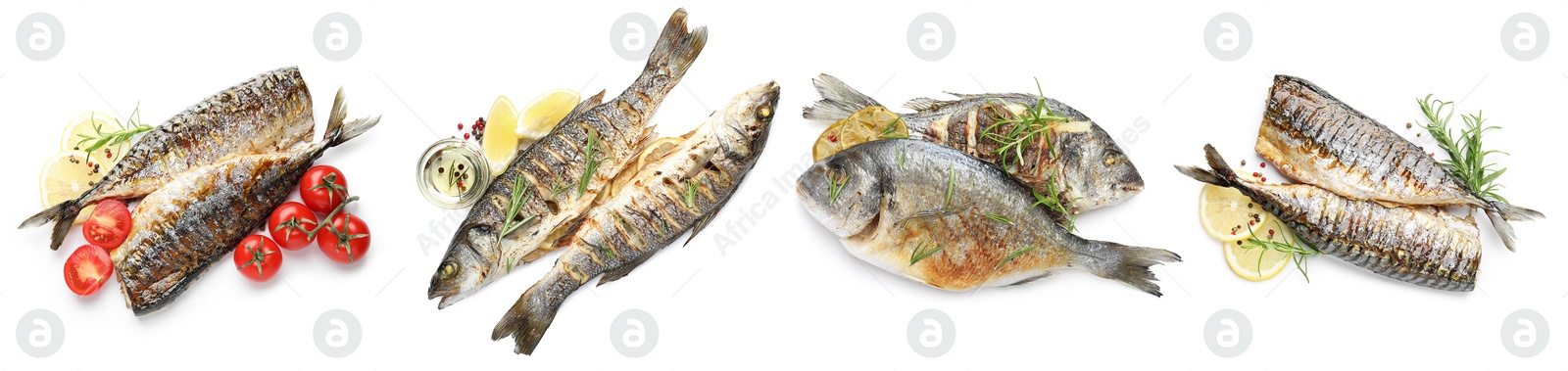 Image of Fried fish. Dishes isolated on white, set. Top view