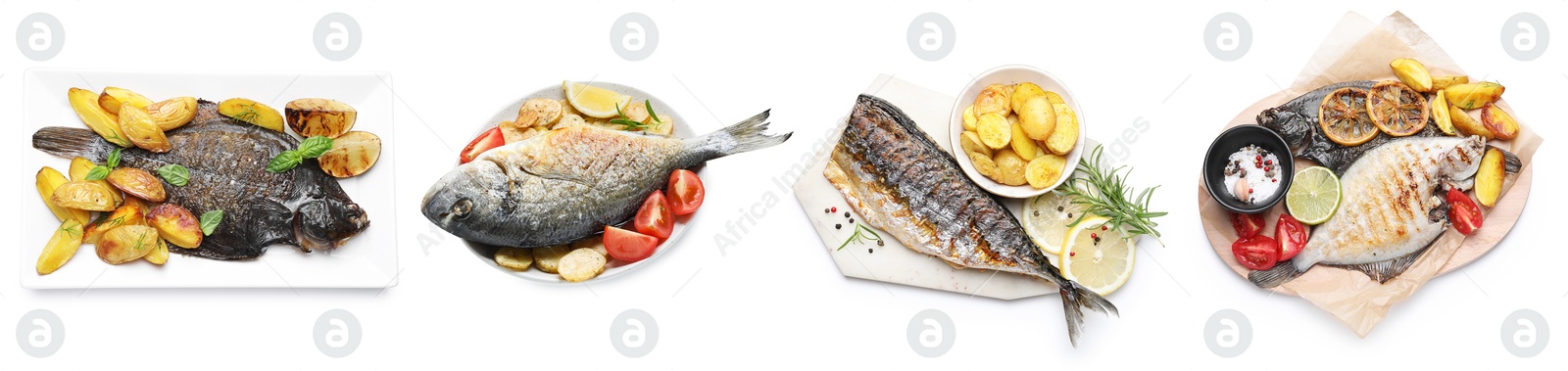 Image of Fried fish. Dishes isolated on white, set. Top view
