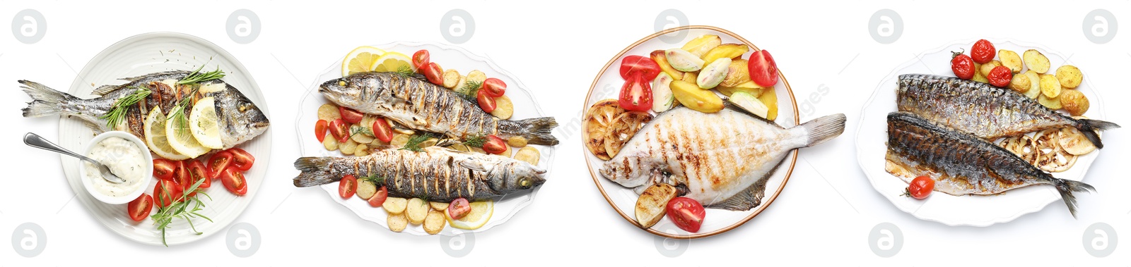 Fried fish. Dishes isolated on white, set. Top view Image of Fried fish. Dishes isolated on white, set. Top view