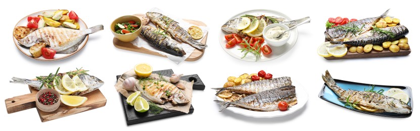 Image of Fried fish. Dishes isolated on white, set