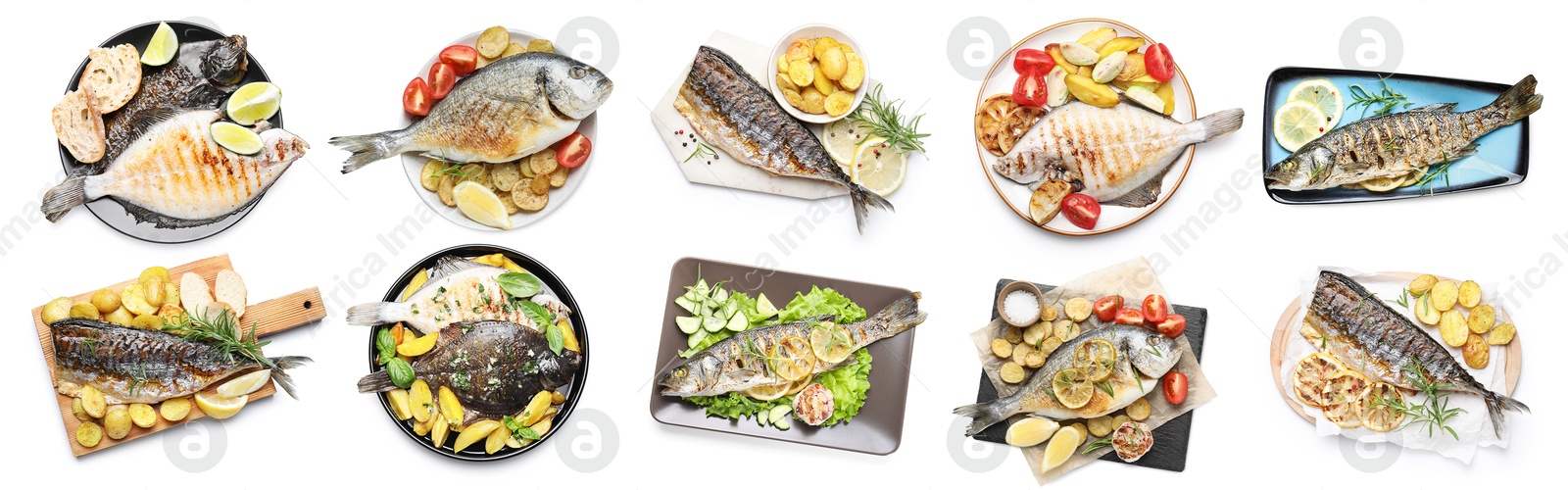 Image of Fried fish. Dishes isolated on white, set. Top view