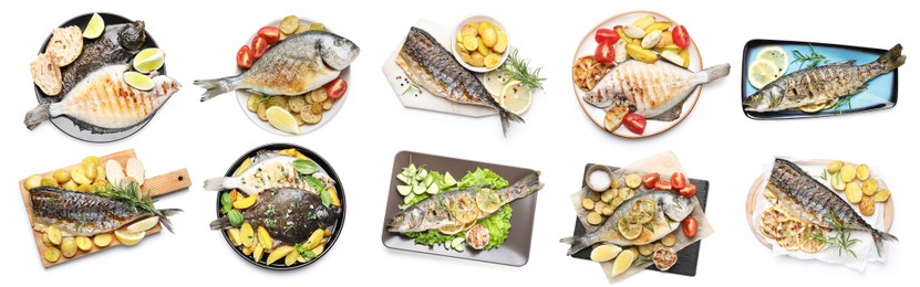 Image of Fried fish. Dishes isolated on white, set. Top view