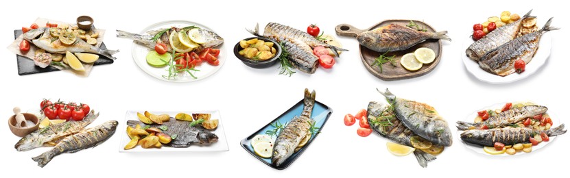 Image of Fried fish. Dishes isolated on white, set