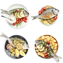 Image of Fried fish. Dishes isolated on white, set. Top view