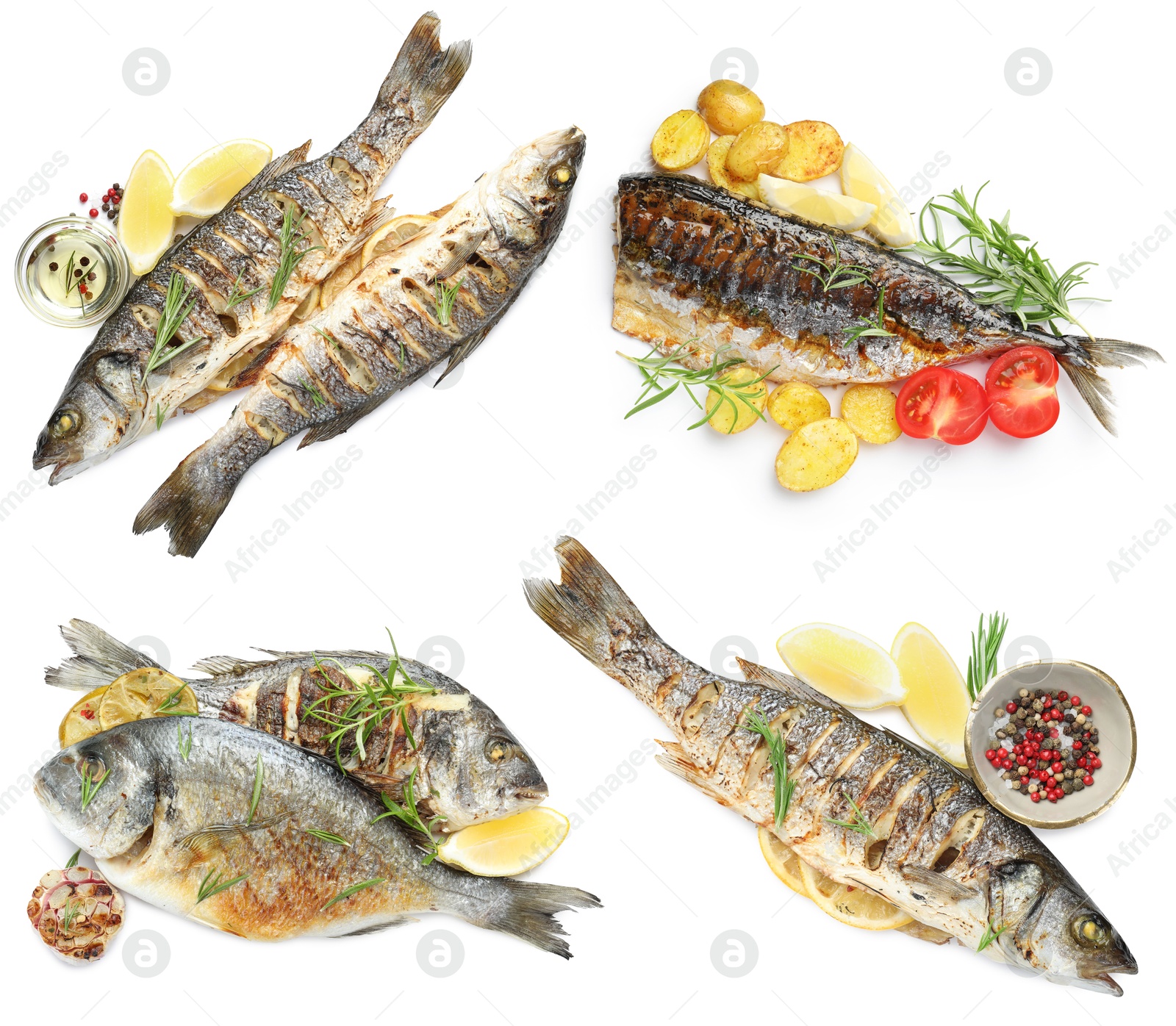 Fried fish. Dishes isolated on white, set. Top view Image of Fried fish. Dishes isolated on white, set. Top view