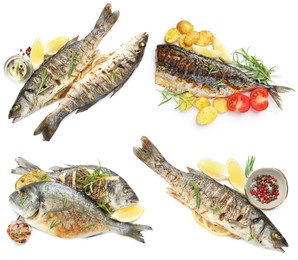 Image of Fried fish. Dishes isolated on white, set. Top view