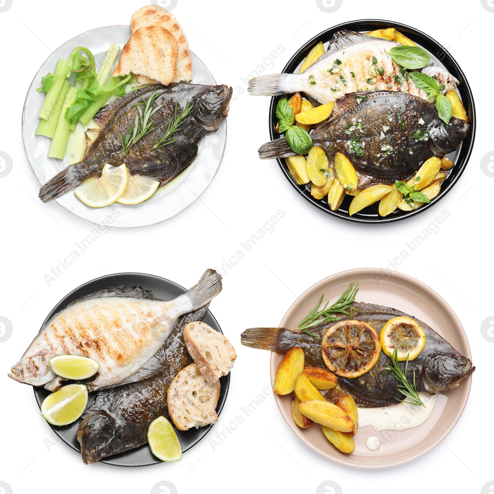Fried fish. Dishes isolated on white, set. Top view Image of Fried fish. Dishes isolated on white, set. Top view