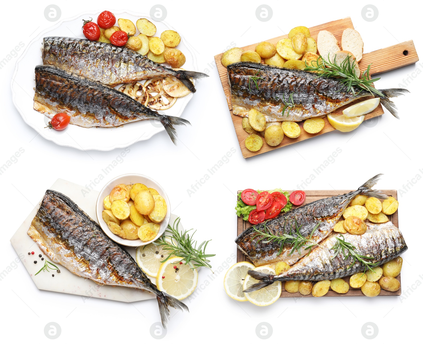 Fried fish. Dishes isolated on white, set. Top view Image of Fried fish. Dishes isolated on white, set. Top view