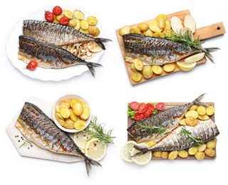 Image of Fried fish. Dishes isolated on white, set. Top view