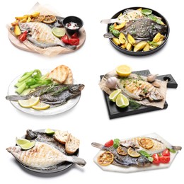 Image of Fried fish. Dishes isolated on white, set