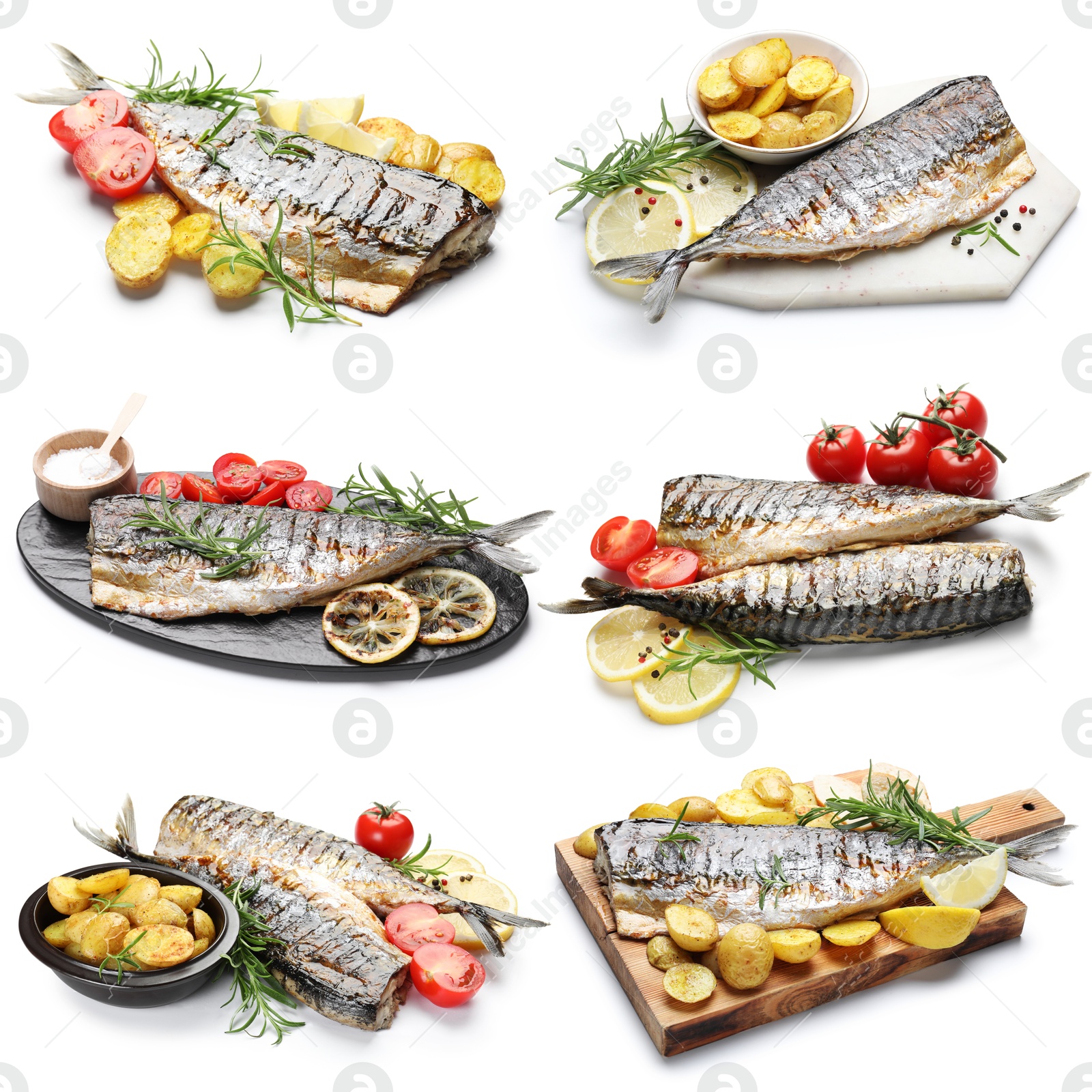 Image of Fried fish. Dishes isolated on white, set