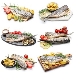 Image of Fried fish. Dishes isolated on white, set