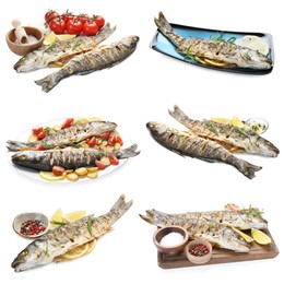 Image of Fried fish. Dishes isolated on white, set