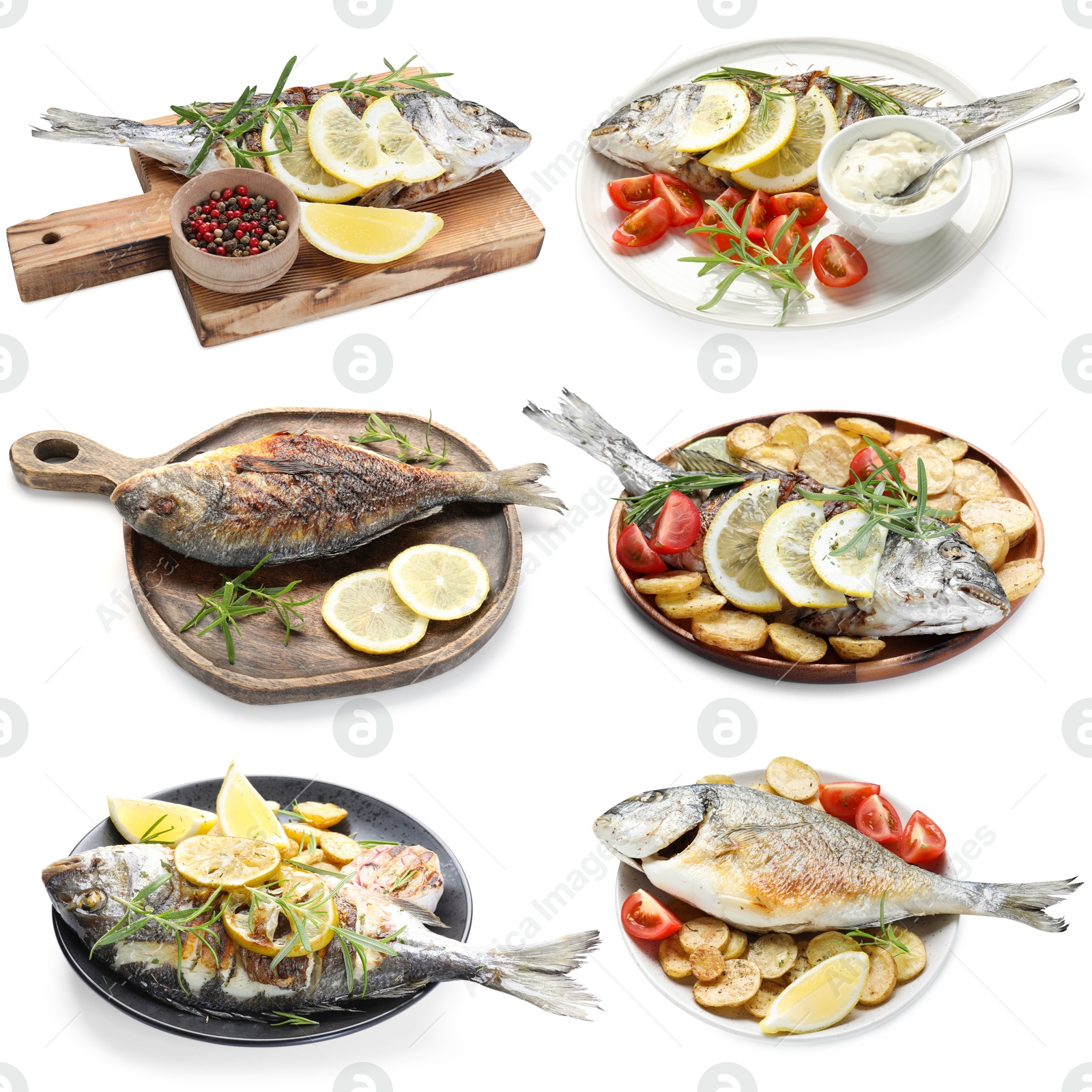Fried fish. Dishes isolated on white, set Image of Fried fish. Dishes isolated on white, set