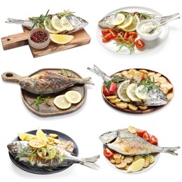 Image of Fried fish. Dishes isolated on white, set