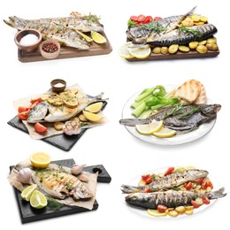 Image of Fried fish. Dishes isolated on white, set