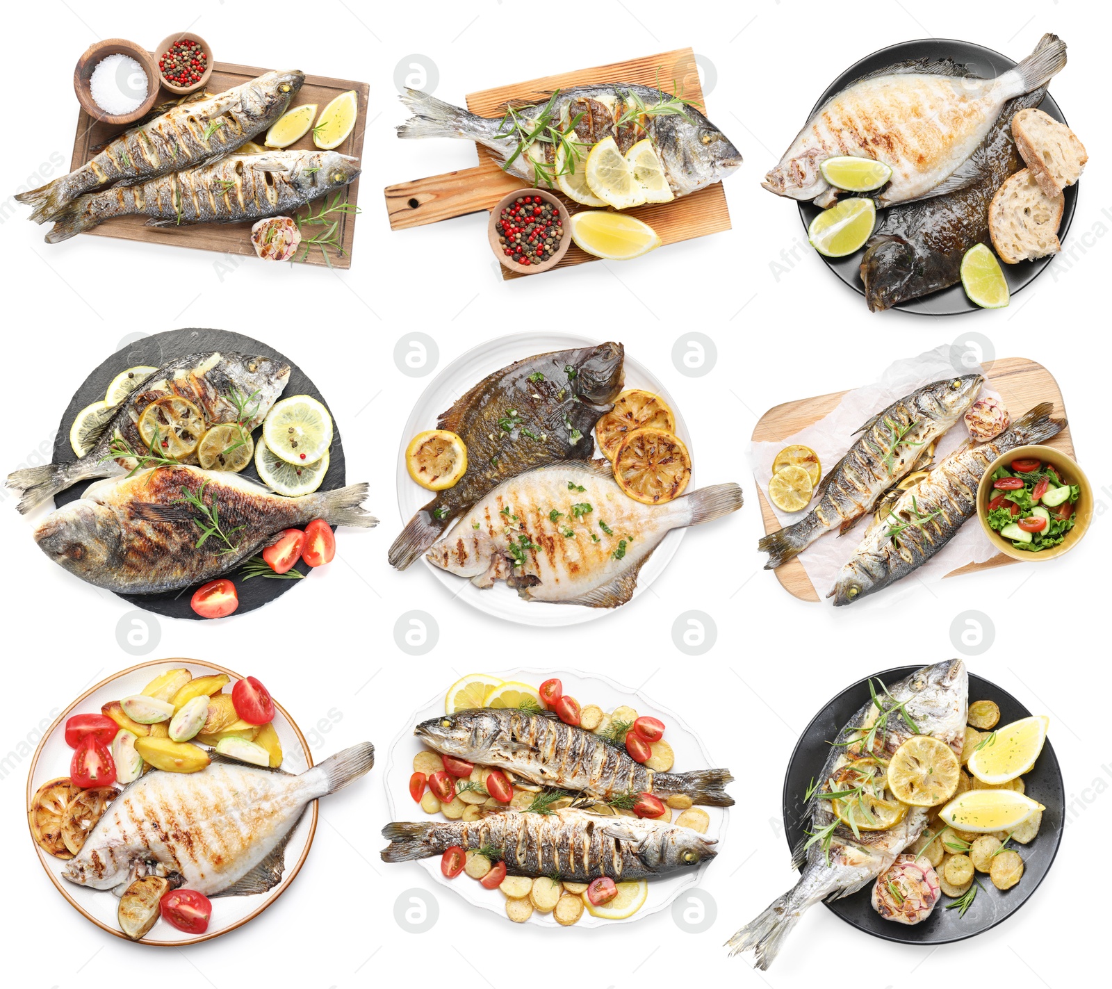 Fried fish. Dishes isolated on white, set. Top view Image of Fried fish. Dishes isolated on white, set. Top view