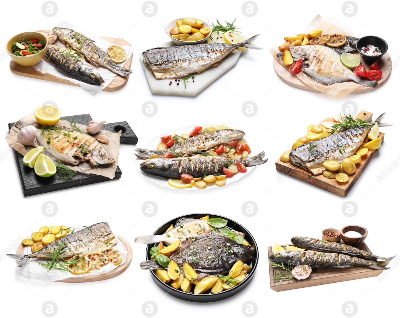Fried fish. Dishes isolated on white, set Image of Fried fish. Dishes isolated on white, set