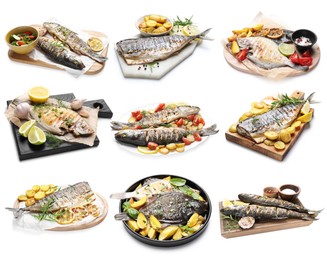 Image of Fried fish. Dishes isolated on white, set