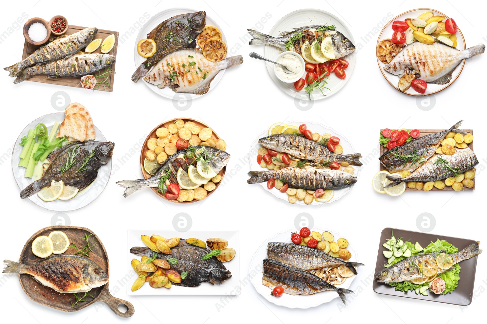 Fried fish. Dishes isolated on white, set. Top view Image of Fried fish. Dishes isolated on white, set. Top view
