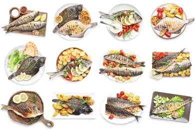 Image of Fried fish. Dishes isolated on white, set. Top view