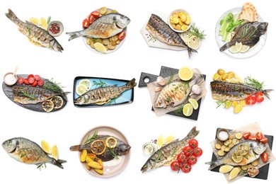 Image of Fried fish. Dishes isolated on white, set. Top view