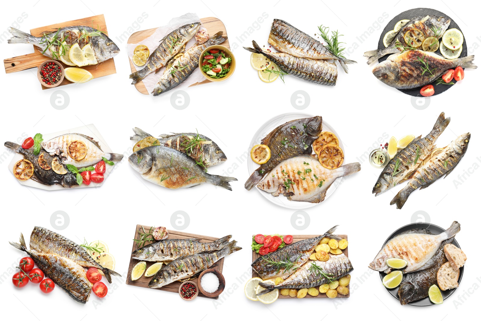 Image of Fried fish. Dishes isolated on white, set. Top view